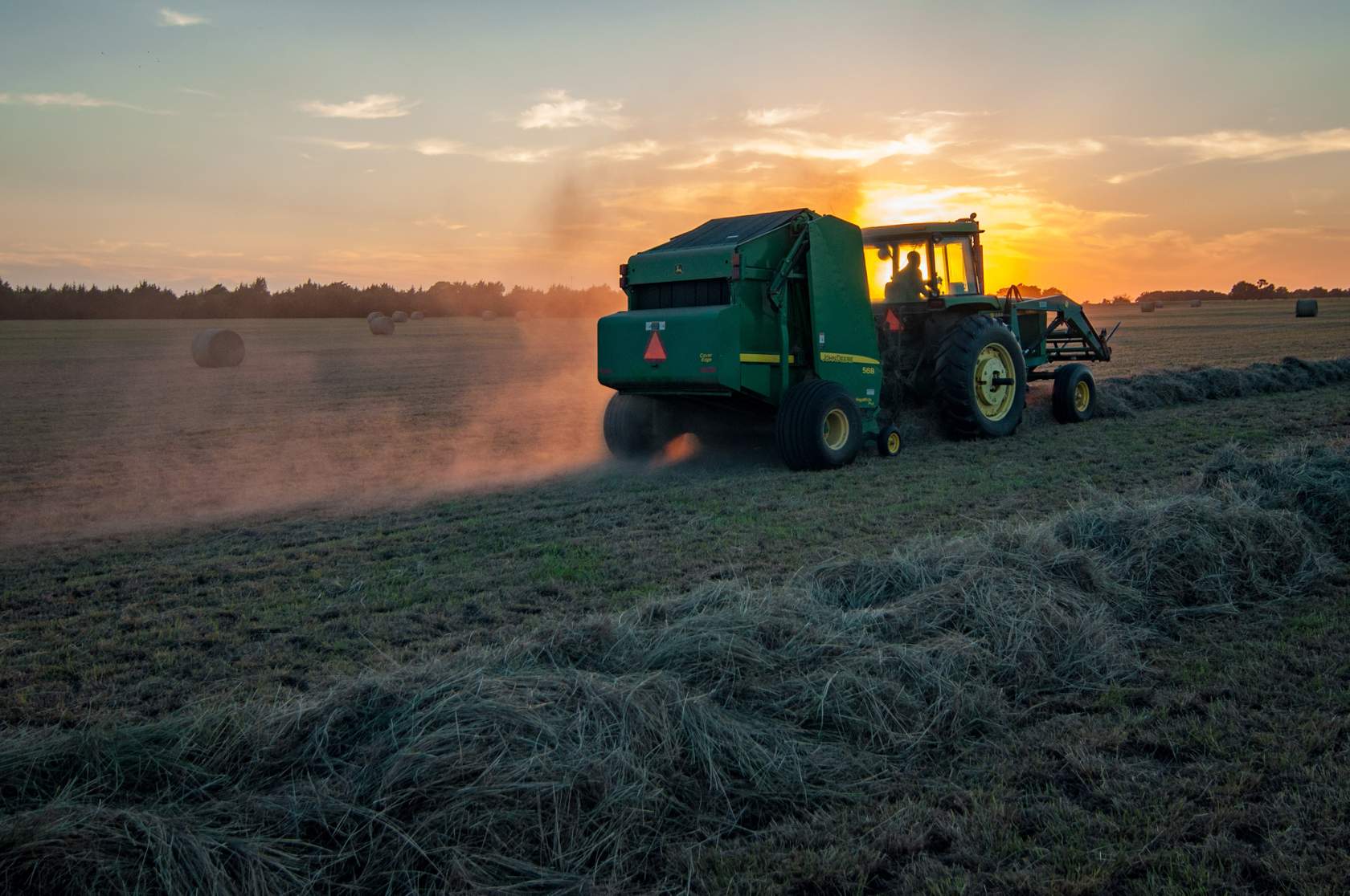 Agriculture Sector