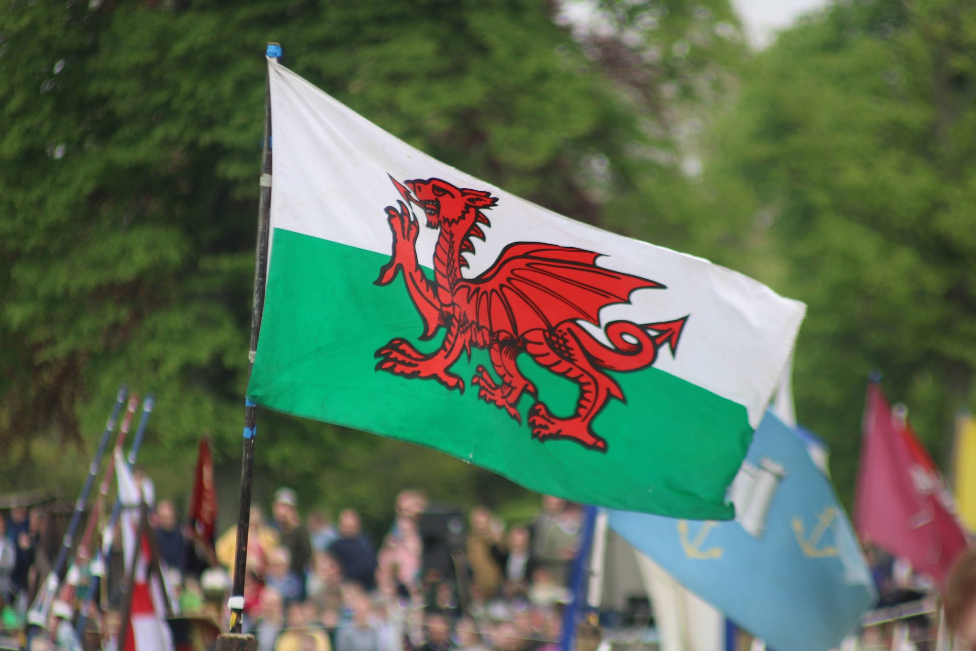 New Learn Welsh programme to support Urdd aim of reaching new audiences