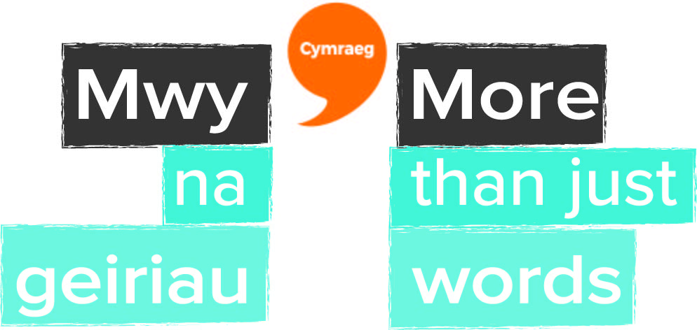 mwy na geiriau